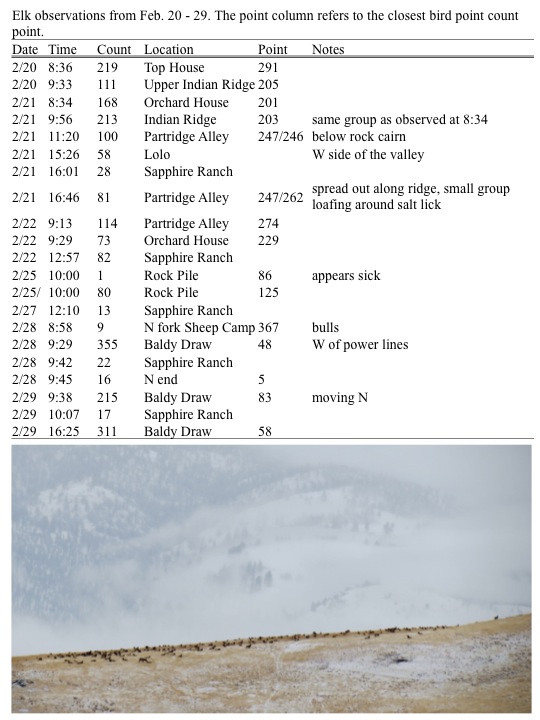 030212 Elk Monitoring Update MPG Ranch